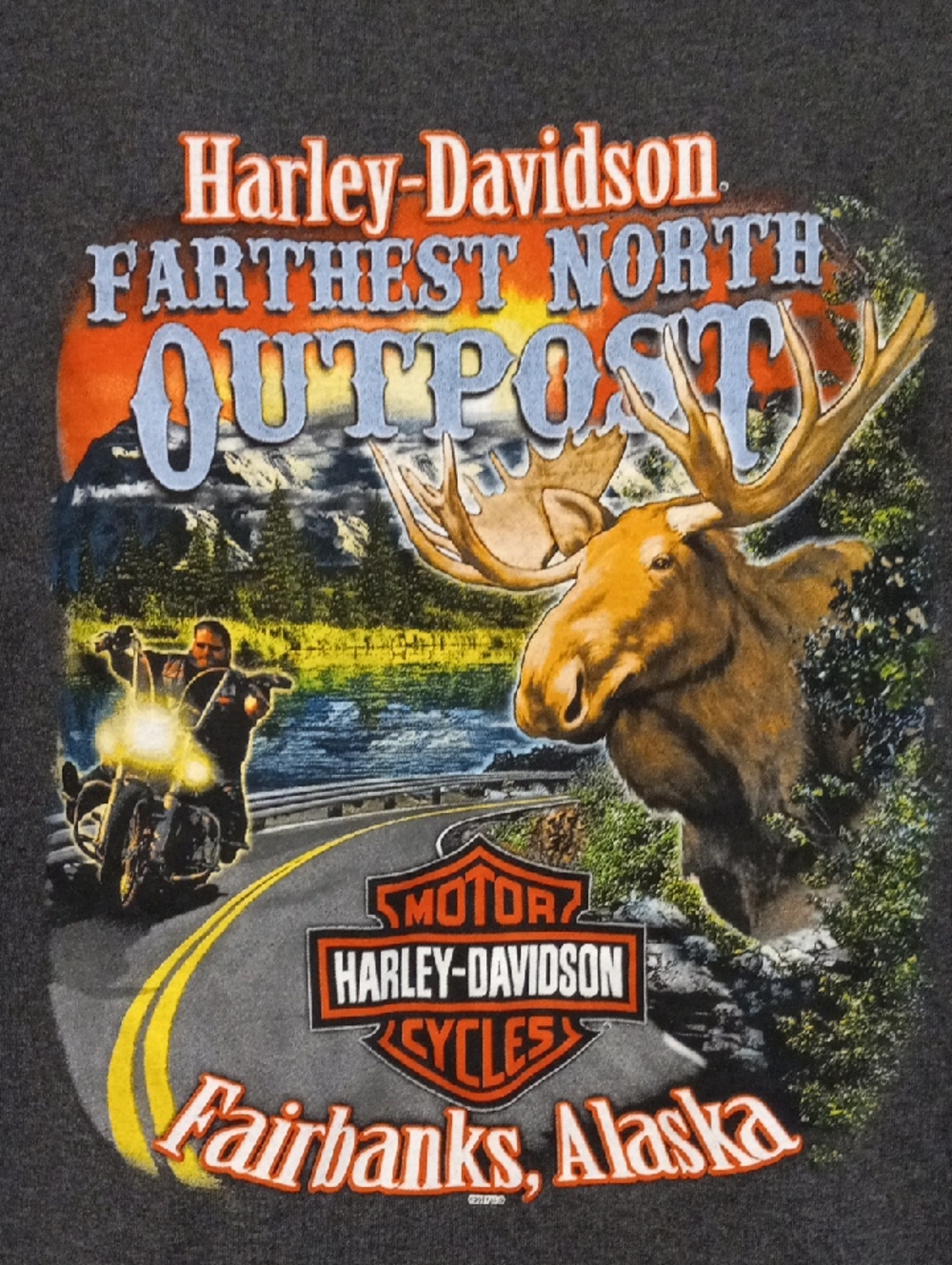 Harley-Davidson Fairbanks Alaska Farthest North Outpost Back Graphic T-shirt Med